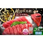 馬肉 全6回定期便 純 馬 赤身馬刺し 約70g