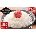 ふるさと納税 米 ひと�