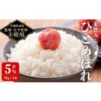 ふるさと納税 米 ひと�