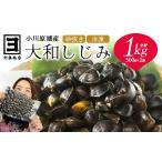 魚貝類 しじみ 砂抜き済みで手間いらず 冷凍