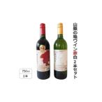 ふるさと納税 ワイン 白ワイン 山梨県 - 山梨の地ワイン赤白2本セット(東夢 勝沼貴婦人) 1707780