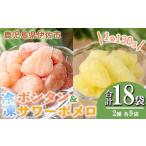みかん 柑橘類 isa867 冷凍ボンタン9袋と冷凍サワーポメロ9…