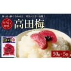 加工品等 梅干 高田梅 50g