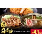 豚肉 セット 白老豚 ロース 肩ロース 挽肉 合計4.1kg
