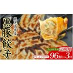 ふるさと納税 餃子 大阪府 豊中市  定期便 黒豚 冷凍餃子 96個 2ヵ月に1回×3回お届け ／ グルメ 人気 おすすめ 餃子 惣菜 豚 肉 お肉 ぎょーざ 高評価餃子 お…