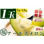 ふるさと納税 メロン メロン青肉 鹿児島県 東串良町  0101117a 期間限定・数量限定 訳あり マル福の高級アールスメロン(1玉・1.7kg)メロン フルーツ 果物 果実…