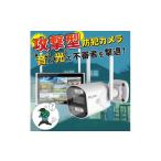 防災グッズ セキュリティカメラ モニターセット