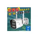 防災グッズ セキュリティカメラ TBC-SC300