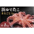 fu.... налог осьминог Fukui префектура юг Echizen блок предшествующий предварительный заказ ... юг Echizen блок производство подлинный . примерно 1.0kg 2026 год 5 месяц средний . около последовательный отправка l подлинный . сырой осьминог . sashimi морепродукты BBQ морепродукты балка bekyu...