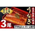 ふるさと納税 うなぎ 鹿児島県 肝付町 B57007 《土用の丑の日までに発送 》うなぎ蒲焼・大(有頭)(3尾・計480g以上、タレ、山椒付) 鹿児島 国産 大隅産 九州産 …