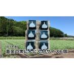 fu.... налог овощи вид приправа Aomori префектура рисовое поле . блок круг прекрасный сельское хозяйство . рисовое поле . блок производство дальняя инфракрасная область .. желтый золотой. чёрный чеснок (M размер ) 6 шт 