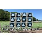 fu.... налог овощи вид приправа Aomori префектура рисовое поле . блок круг прекрасный сельское хозяйство . рисовое поле . блок производство дальняя инфракрасная область .. желтый золотой. чёрный чеснок (M размер ) 12 шт 