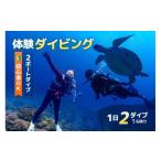 体験チケット 体験ダイビング 2ボートダイブ