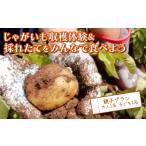 fu.... налог body . билет Shizuoka префектура Numazu город картофель ..&.. длина . еда . body . земля изначальный shef... длина овощи . все . еда . для ... родители . Numazu Toda...