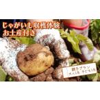 fu.... налог body . билет Shizuoka префектура Numazu город картофель ... земля производство имеется родители . взрослый 1 название ребенок 1 название Numazu Toda реальный сезон приятный сельское хозяйство . море . гора ..... Toda. .........