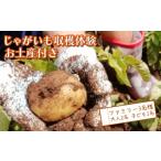 fu.... налог body . билет Shizuoka префектура Numazu город картофель ... земля производство имеется взрослый 2 название ребенок 1 название родители . Numazu Toda реальный сезон приятный сельское хозяйство . море . гора ..... Toda. .........