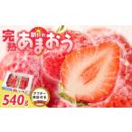 ショッピングふるさと納税 いちご ふるさと納税 いちご 福岡県 久留米市 増永農園　福岡県産あまおう　270g×2パック _ 270g 2パック 高級特産品 あまおう 福岡県産 朝採れ 新鮮 こだわり いち…