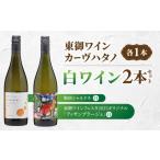 ふるさと納税 ワイン 白ワイン 長野県 東御市 長野ワイン（白ワイン） 飲み比べ 2本セット｜ カーブハタノ 鞍掛シャルドネ、「東御ワインフェスタ2025」特別醸…