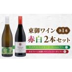 ふるさと納税 ワイン セット 長野県 東御市 日本ワインコンクール金賞受賞 長野ワイン（赤白ワイン）飲み比べ 2本セット｜ ヴィラデストワイナリー ソーヴィニ…