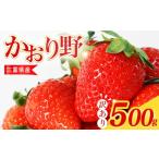ふるさと納税 いちご 三重県 南伊勢町  訳あり いちご 500g かおり野 苺 イチゴ ストロベリー サイズ不揃い フルーツ 果物 スムージー ヨーグルト 三重県産 ic…