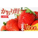 ふるさと納税 いちご 三重県 南伊勢町  訳あり いちご 1kg かおり野 苺 イチゴ ストロベリー サイズ不揃い フルーツ 果物 スムージー ヨーグルト 三重県産 ich…
