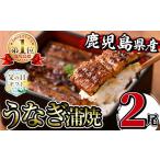 ふるさと納税 うなぎ 鹿児島県 出水市 i505-f 父の日ギフト 鹿児島県産うなぎ蒲焼2尾セット(約140g×2・計約280g) うなぎ 鰻 ウナギ 2尾 蒲焼き 国産 鹿児島県…