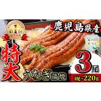 ふるさと納税 うなぎ 鹿児島県 出水市 i1078-B-f 父の日ギフト ＼特大サイズ／鹿児島県産 うなぎ蒲焼 3尾（約220g×3・計約660g） たれ 山椒付きうなぎ 鰻 ウ…
