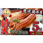 ふるさと納税 うなぎ 鹿児島県 出水市 i1078-C-f 父の日ギフト ＼特大サイズ／鹿児島県産 うなぎ蒲焼 5尾（約220g×5・計約1100g） たれ 山椒付きうなぎ 鰻 ウ…