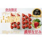 いちご 予約受付AD-66. ブランドいちご
