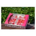 ショッピングふるさと納税 いちご ふるさと納税 いちご 福岡県 宗像市 特別栽培あまおうDX4パック うるう農園 _HA1966