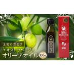 食用油 オリーブオイル エクストラバージンオリーブオイル