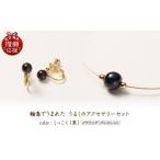 イヤリング 輪島でうまれた うるしのアクセサリーセット