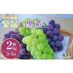果物 くだものフルーツ 大粒 大きい 食べ応え