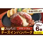 ふるさと納税 肉 ハンバーグ 熊本県 菊池市  3ヶ月定期便 ジョイフルハンバーグ チーズインハンバーグ トマトソース付 6個 1個155g 生ハンバーグ ソース付き …