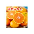 ふるさと納税 果物類 みかん 佐賀県 伊万里市 温州みかん 約5kg 114-B1007