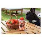 fu.... налог body . билет Shiga префектура .. город конфеты конструкция имеется 90 минут клубника .. еда ... body . билет 