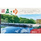 温泉 サウナ スパ利用券 天然温泉 森のゆ 大人