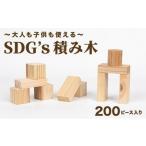玩具 大人も子供も使えるSD g’s積み木