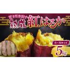 野菜類 サツマイモ 甘さ引き出す 熟成紅はるか 5kg
