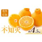 果物類 みかん 濃厚 完熟 不知火 しらぬい A品