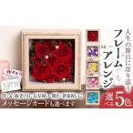 花 苗木 フレームアレンジ 正方形 5色 メッセージカード