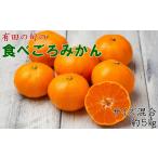 有田の旬の食べごろみかん約5kg サイズ混合