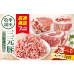 ふるさと納税 豚肉 セット 北海道 喜茂別町  3種セット 平田牧場 豚肉 3種セット《喜茂別町》 平田牧場 肉 豚肉 ブロック ステーキ ステーキ用 ロース バラ と…