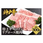 経産但馬牛 冷凍 黒毛和牛 ルーツ 牛肉 ステーキ