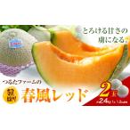 ふるさと納税 メロン メロン赤肉 熊本県 菊池市 つるたファームの 朝採り 春風レッド メロン 1.2kg前後 2玉 株式会社七城の恵み《4月下旬-5月上旬に出荷予定》…