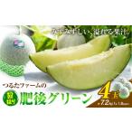 ふるさと納税 メロン メロン青肉 熊本県 菊池市 つるたファームの 朝採り 肥後グリーン メロン 1.8kg以上 4玉 株式会社七城の恵み《5月上旬-5月下旬に出荷予定…