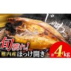 干物 ホッケ ほっけの開き 4kg
