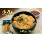 ふるさと納税 ウニ 岩手県 大船渡市  2026年 先行予約 牛乳瓶 生うに 240g (120g×2本) うに 冷蔵 保存料無添加 ミョウバン不使用 ウニ 雲丹 ご飯 丼 海鮮丼 …