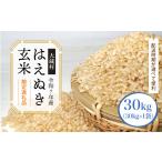 ふるさと納税 玄米 山形県 大蔵村  数量限定 令和7年産 大蔵村 はえぬき 玄米 30kg （30kg×1袋） 配送時期が選べて便利 　