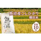 ふるさと納税 玄米 新潟県 小千谷市  令和8年産 先行予約 農家直送の棚田米 魚沼産コシヒカリ 玄米10kg(10kg×1袋) 佐藤農場 | 新潟県産 コシヒカリ お米 米 …